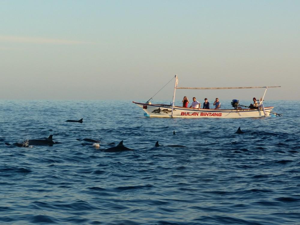 tips-bali-twee-weken-lovina-dolfijnen
