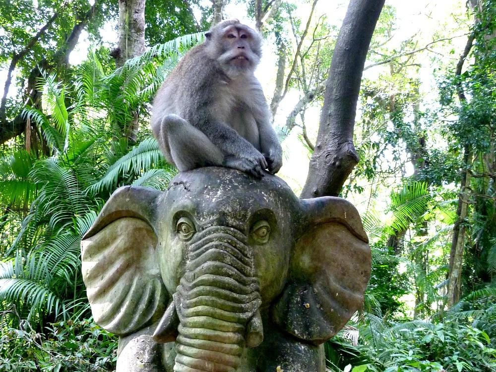 ubud-bali-tips-monkey-forest-min