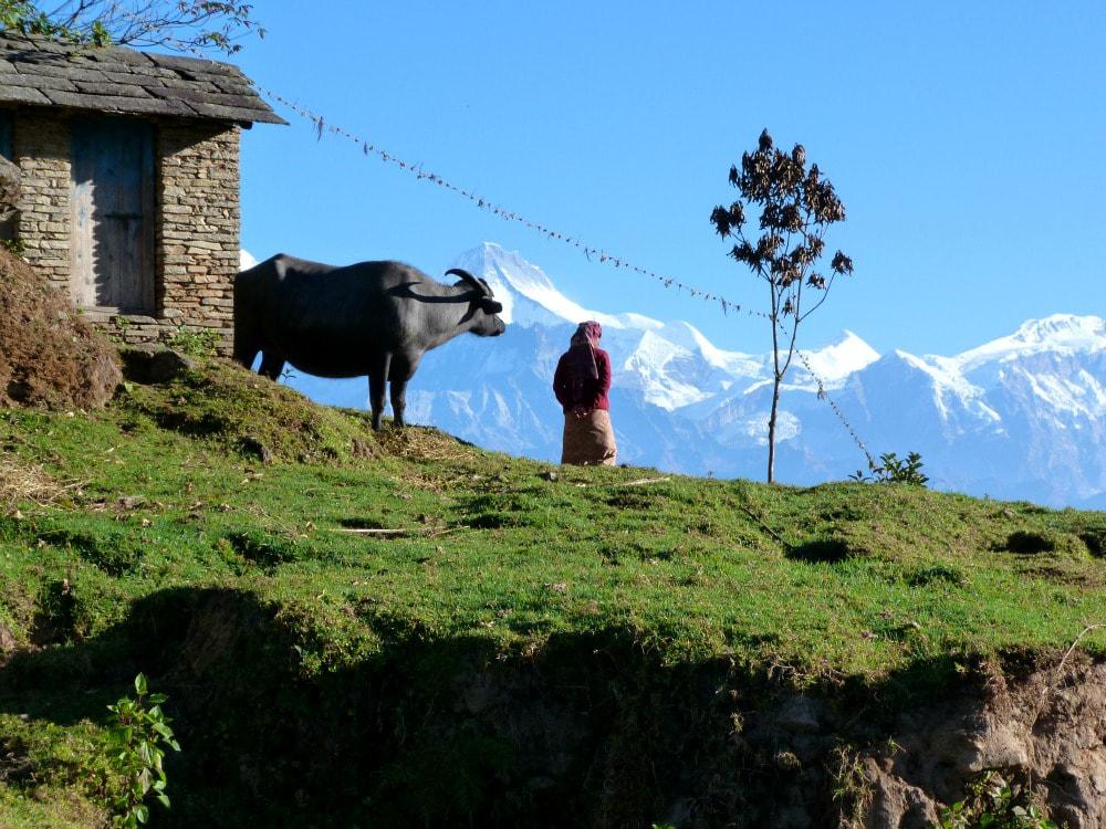 tien-mooiste-reisfotos-nepal-himalaya-min