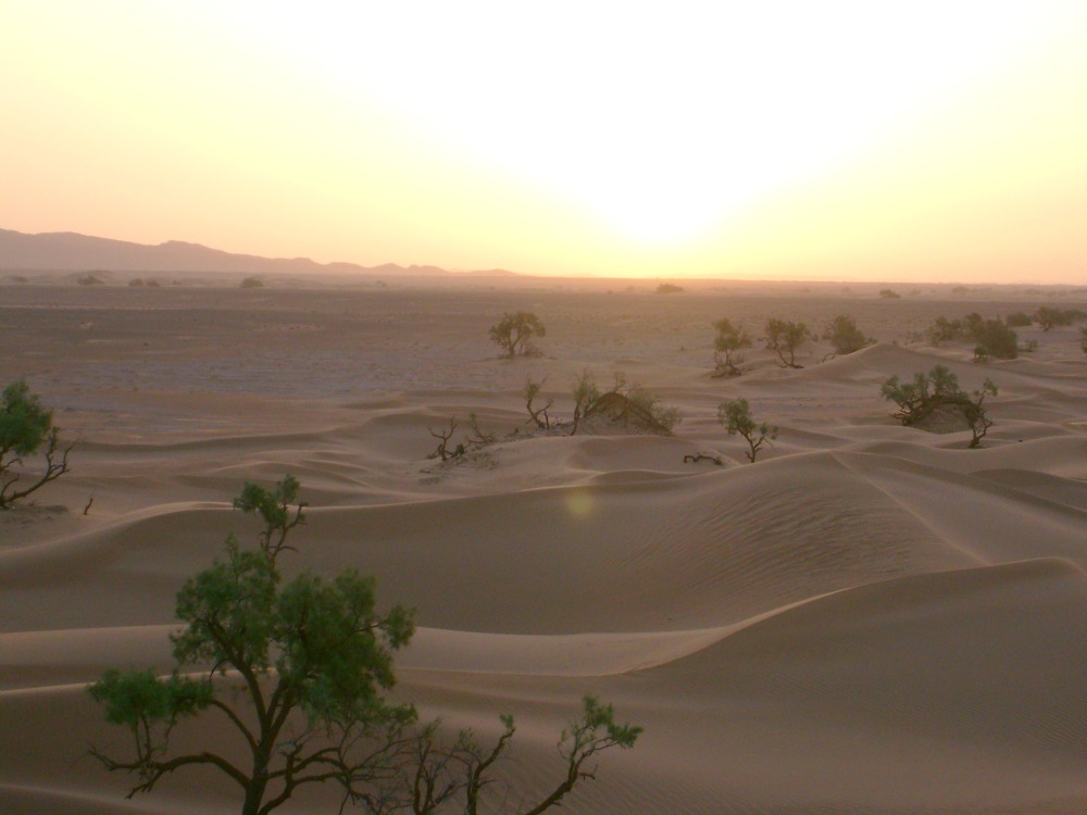 marokko-reis-openbaar-vervoer-sunrise-woestijn