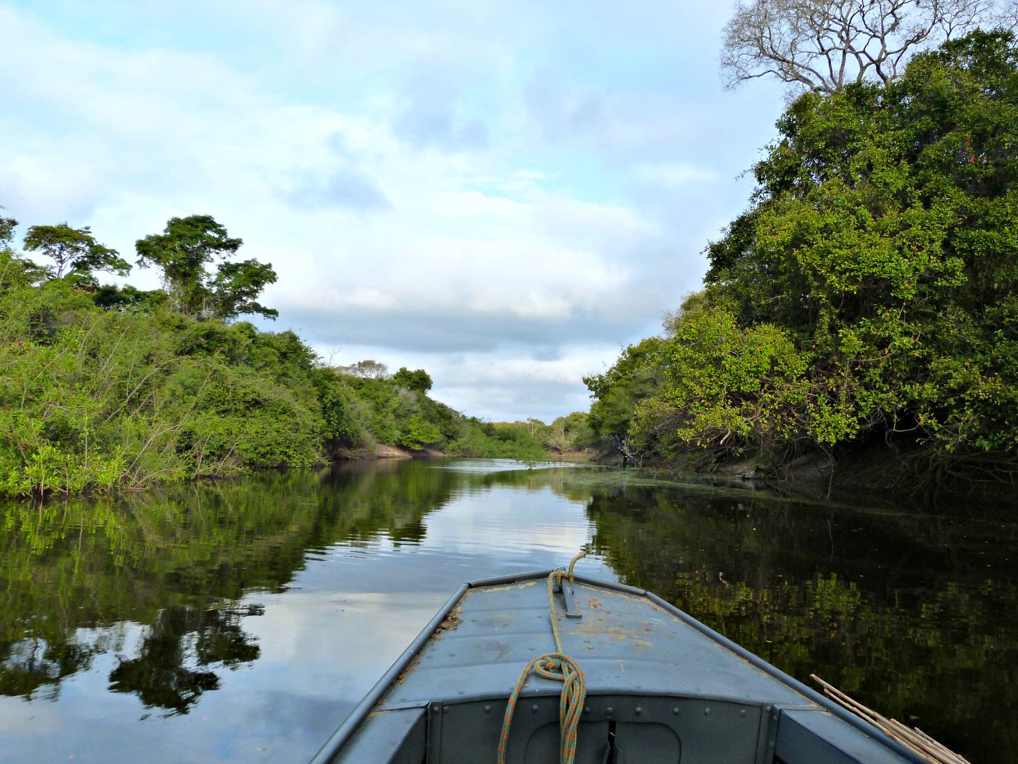 pantanal-brazilie-boottocht-rivier