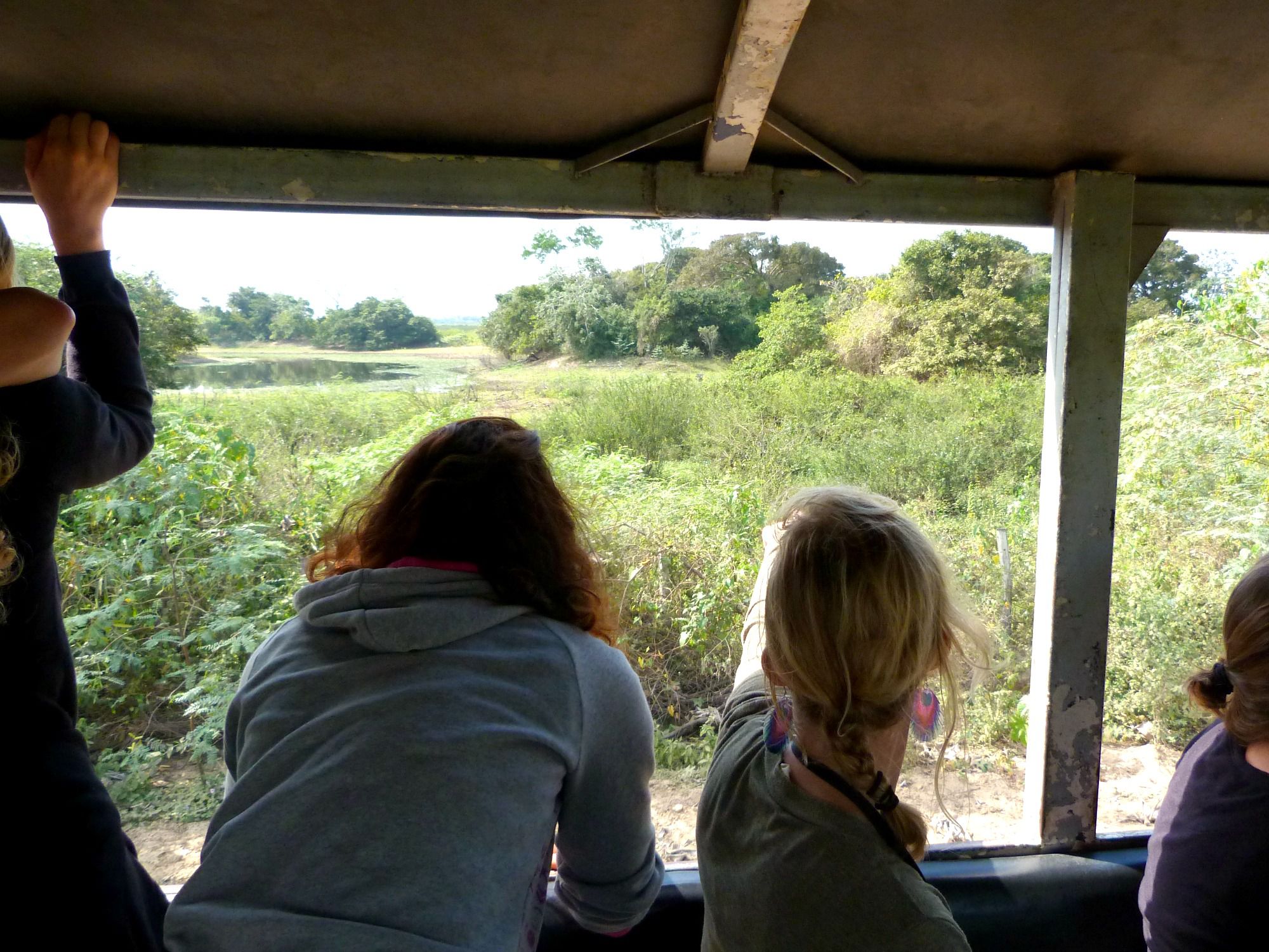 pantanal-brazilie-veetruck-safari